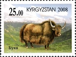 Colnect-1535-202-Buka-Yak-Bos-mutus.jpg