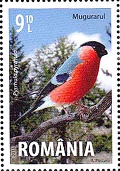 Colnect-2512-947-Eurasian-bullfinch-Pyrrhula-pyrrhula.jpg