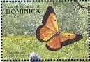 Colnect-3228-505-Orange-Sulphur-Colias-eurytheme.jpg