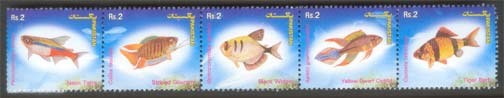 Colnect-902-809-Popular-Aquarium-Varieties-of-Tropical-fish.jpg