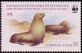 Colnect-1598-523-Juan-Fernandez-Fur-Seal-Arctocephalus-philippii.jpg