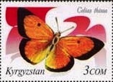 Colnect-2744-746-Clouded-Turan-Yellow-Colias-thisoa.jpg