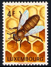 Skap-luxembourg_02_bee.jpg