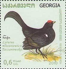 Colnect-1107-672-Caucasian-Grouse%C2%A0Lyrurus-mlokosiewiczi%C2%A0.jpg