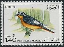 Colnect-1295-371-Moussier--s-redstart.jpg