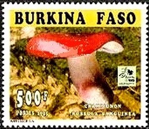 Colnect-2081-056-Russula-sanguinea.jpg