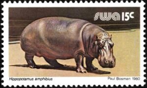 Colnect-5482-542-Hippopotamus-Hippopotamus-amphibius.jpg