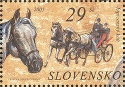 Lippizan-Horse-Equus-ferus-caballus.jpg