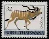 Colnect-1108-626-Greater-Kudu-Tragelaphus-strepsiceros.jpg