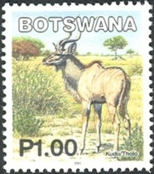 Colnect-1424-472-Greater-Kudu-Tragelaphus-strepsicerus.jpg