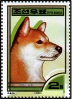 Colnect-2259-958-Shiba-Inu-Canis-lupus-familiaris.jpg