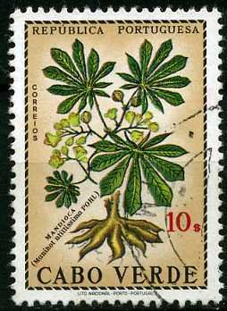 Colnect-1318-897-Cassava-Manihot-esculenta.jpg