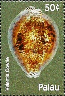 Colnect-5862-025-Valentia-cowrie.jpg