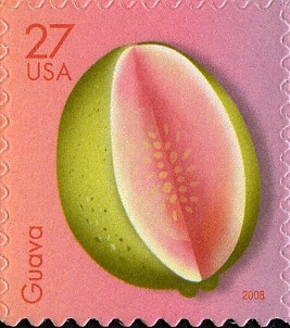 Colnect-898-391-Guava-Psidium-guajava.jpg