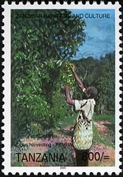 Colnect-1690-452-Clove-harvesting-Pemba.jpg