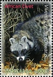 Colnect-1691-006-African-Civet-Civettictis-civetta-ssp-schwarzi-.jpg