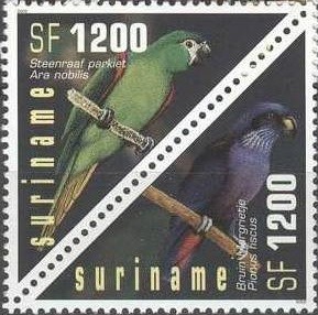 Colnect-2070-920-Stone-Raven-ParrotViolet-Parrot.jpg