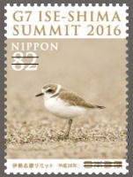 Colnect-3531-078-Kentish-Plover-Charadrius-alexandrinus.jpg