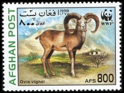 Colnect-515-651-Urial-Ovis-orientalis-vignei.jpg