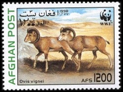 Colnect-515-653-Urial-Ovis-orientalis-vignei.jpg