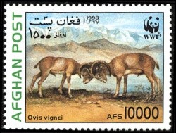 Colnect-515-654-Urial-Ovis-orientalis-vignei.jpg