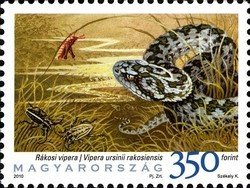 Colnect-546-093-Hungarian-Meadow-Viper-Vipera-ursinii-rakosiensis.jpg