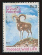 Colnect-869-864-Urial-Ovis-orientalis-vignei.jpg