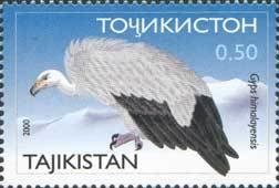 Colnect-1103-086-Himalayan-Vulture%C2%A0Gyps-himalayensis.jpg