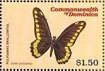 Colnect-3238-433-Polydamas-Swallowtail-Battus-polydamas.jpg