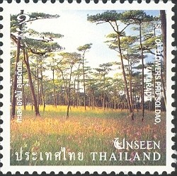 Colnect-1668-418-Sea-of-Flowers-Phu-Soldao-Uttaradit.jpg