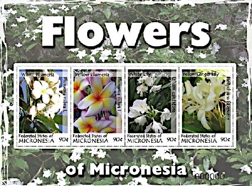 Colnect-5694-353-Flowers-of-Micronesia.jpg