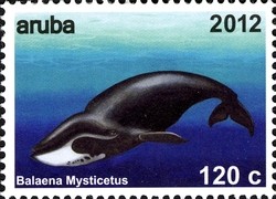 Colnect-1622-501-Bowhead-Whale-Balaena-mysticetus.jpg