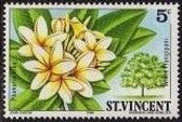 Colnect-1999-156-White-frangipani.jpg