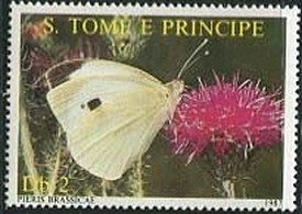 Colnect-2548-764-Large-White-Pieris-brassicae.jpg