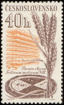 Colnect-444-230-Wheat-and-bread.jpg