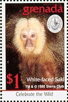 Colnect-4569-545-White-faced-saki.jpg