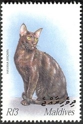 Colnect-961-834-Havanna-Brown-Felis-silvestris-catus.jpg