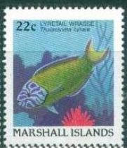 Colnect-1906-188-Lyretail-Wrasse-Thalassoma-lunare.jpg