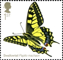 Colnect-1893-245-Swallowtail-Papilio-machaon.jpg