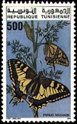 Colnect-556-419-Swallowtail-Papilio-machaon.jpg