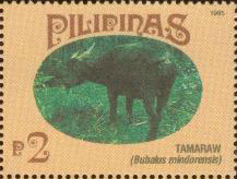 Colnect-2989-344-Tamaraw-Bubalus-mindorensis.jpg