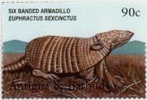 Colnect-4184-987-Six-banded-armadillo.jpg