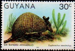 Colnect-4726-430-Six-Banded-Armadillo.jpg