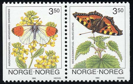 Skap-norway_04_bfly.jpg