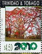 Colnect-2134-817-Royal-poinciana-tree.jpg