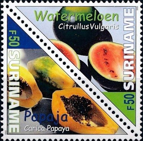 Colnect-3821-605-Papaya--amp--Watermelon.jpg