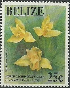 Colnect-1638-378-Lycaste-aromatica.jpg