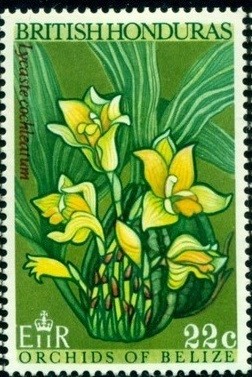 Colnect-1709-680-Lycaste-cochleata.jpg