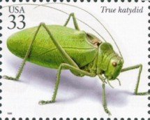 Colnect-201-332-Common-True-Katydid-Pterophylla-camellifolia-.jpg