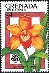 Colnect-2984-231--Cymbidium--Ormoulu.jpg